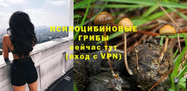 apvp Богданович